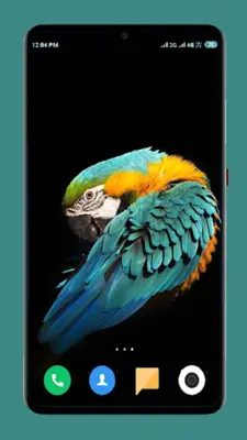 Parrot Wallpapers 4K android App screenshot 12