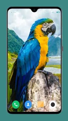 Parrot Wallpapers 4K android App screenshot 1