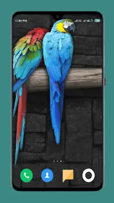 Parrot Wallpapers 4K android App screenshot 3