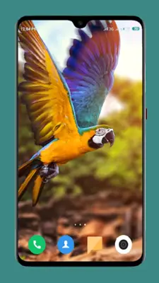 Parrot Wallpapers 4K android App screenshot 5